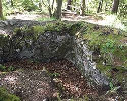 Fotografia objektu Sučiansky hrad